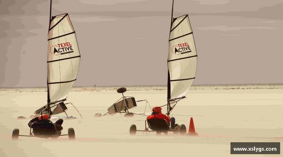 利来w66官方网站突破自我，成就非凡！